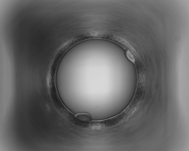 X0000102390587200808081229