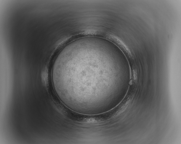 X0000102390588200808081229