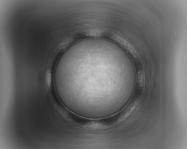 X0000102390589200808081229