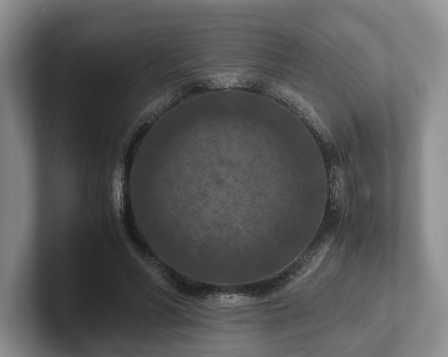 X0000102390590200808081229