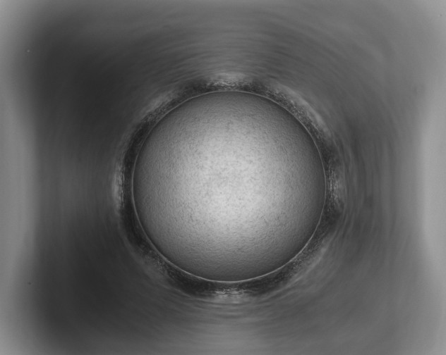 X0000102390591200808081229