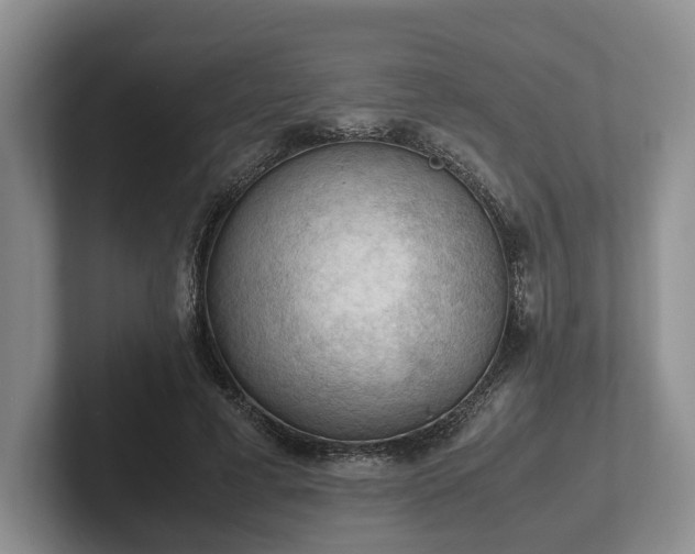 X0000102390593200808081229