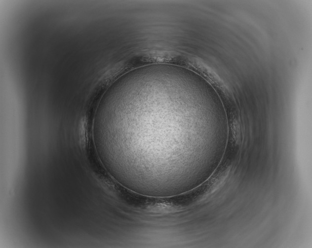 X0000102390594200808081229