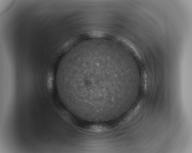 X0000102390596200808081229