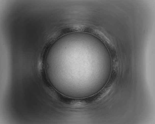 X0000102390597200808081229