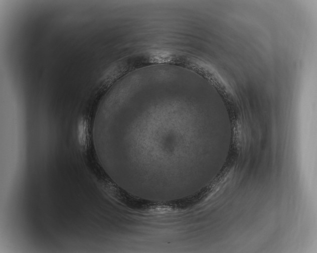 X0000102390598200808081229