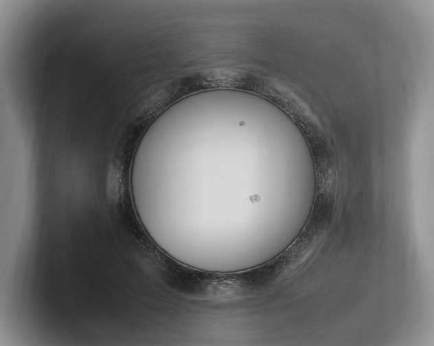 X0000102390599200808081229