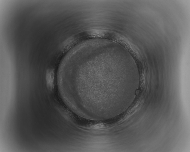 X0000102390600200808081229