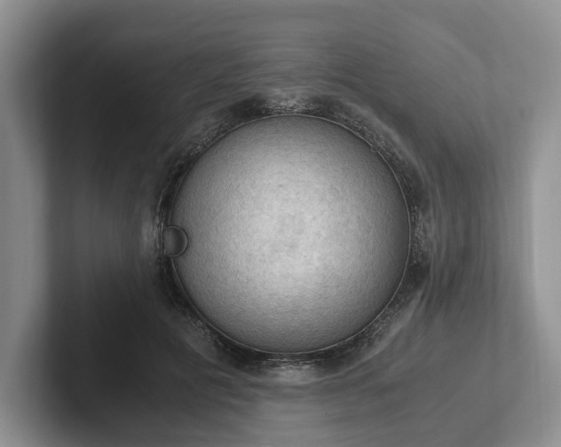 X0000102390601200808081229