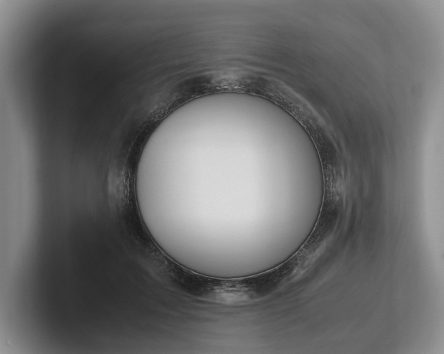 X0000102390603200808081229