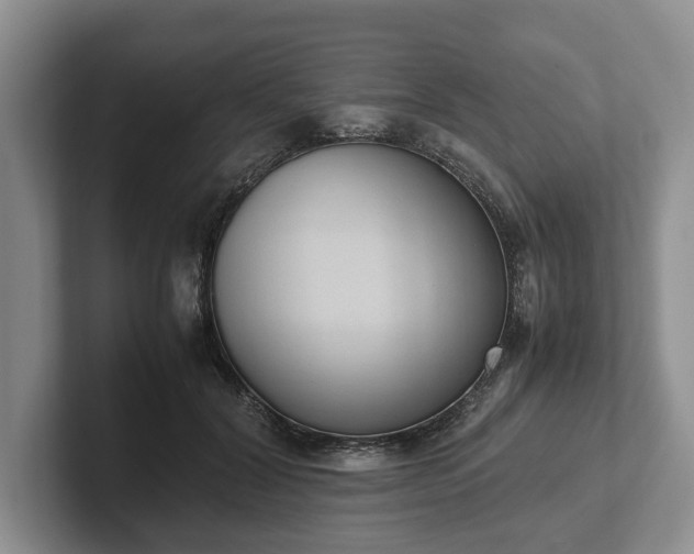 X0000102390604200808081229