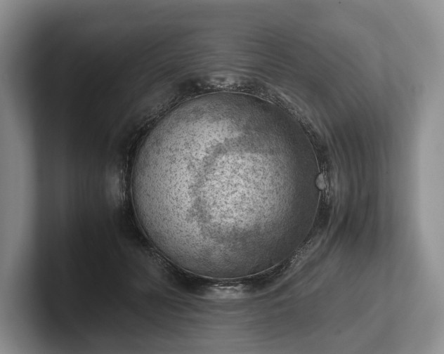 X0000102390606200808081229