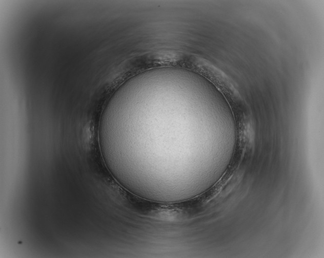 X0000102390608200808081229