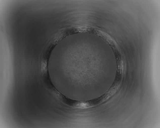 X0000102390610200808081229