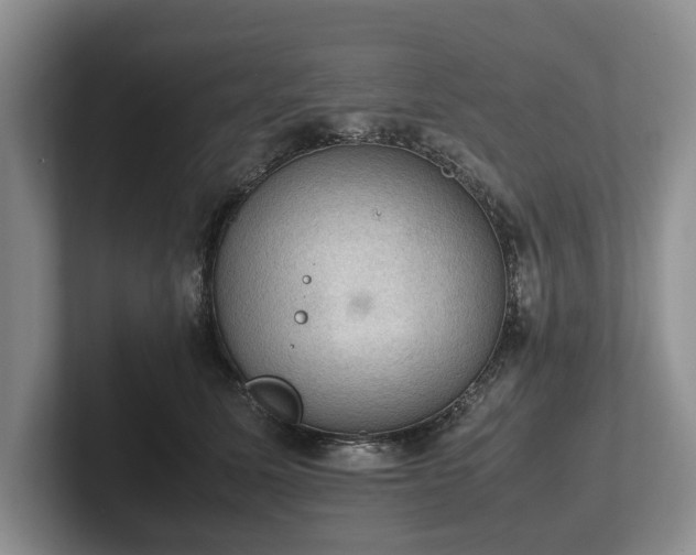 X0000102390611200808081229