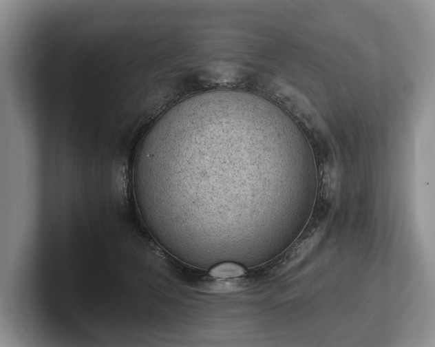 X0000102390612200808081229