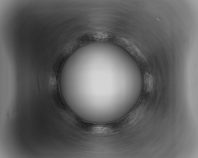 X0000102390614200808081229