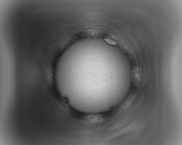 X0000102390615200808081229