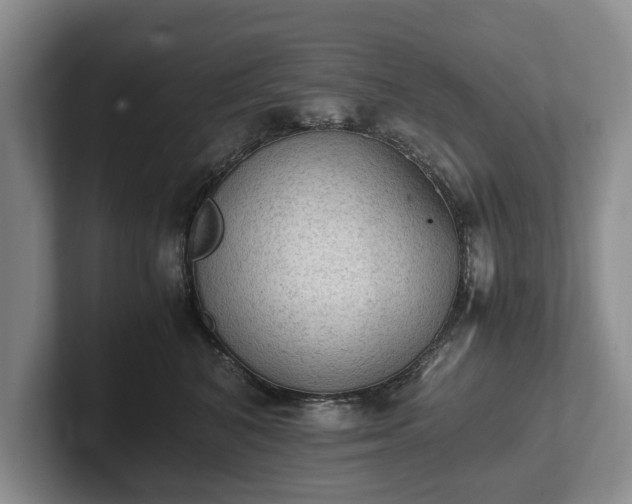 X0000102390616200808081229