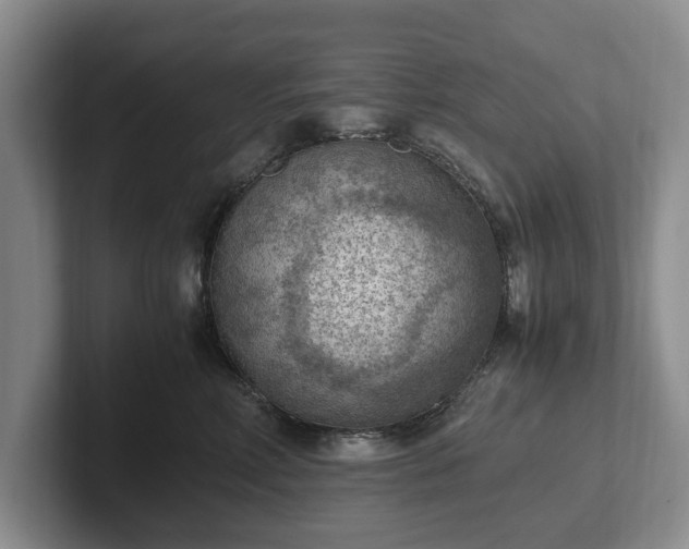 X0000102390618200808081229