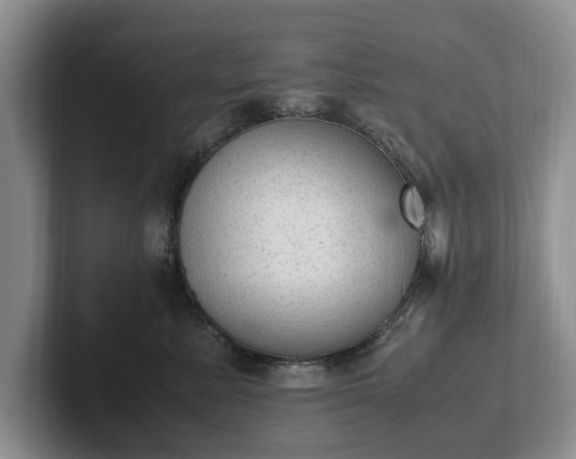 X0000102390619200808081229