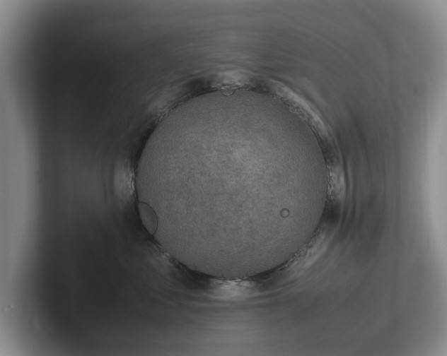 X0000102390621200808081229