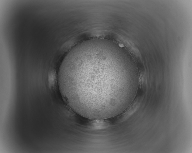 X0000102390623200808081229