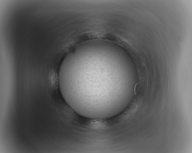 X0000102390624200808081229