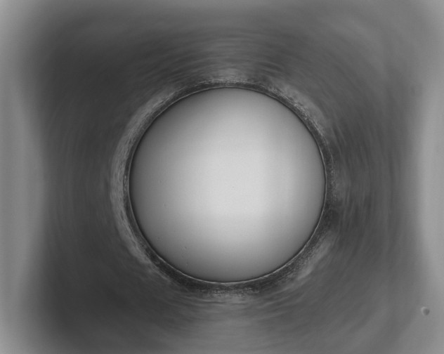 X0000102390625200808081228