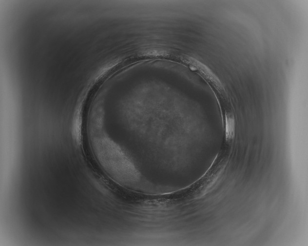 X0000102390627200808081228