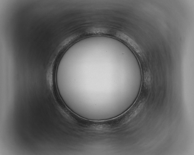 X0000102390629200808081228