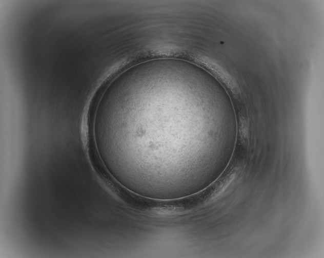 X0000102390630200808081228