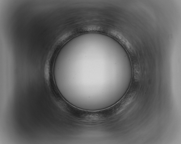 X0000102390631200808081228