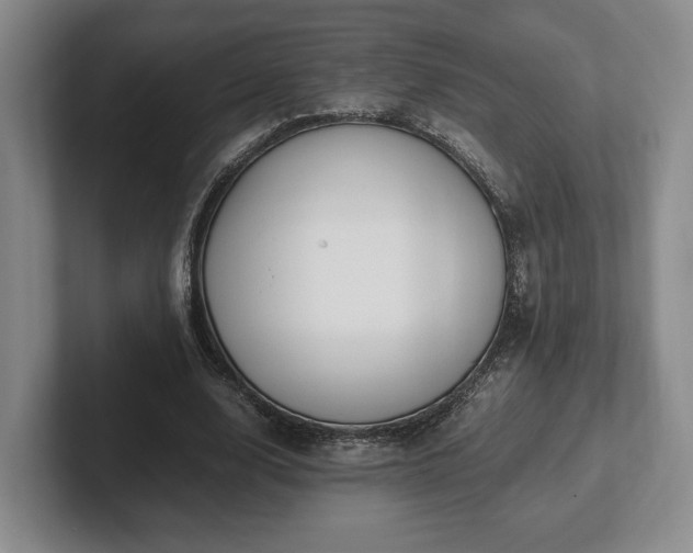 X0000102390632200808081228