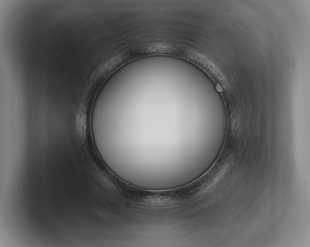 X0000102390633200808081228