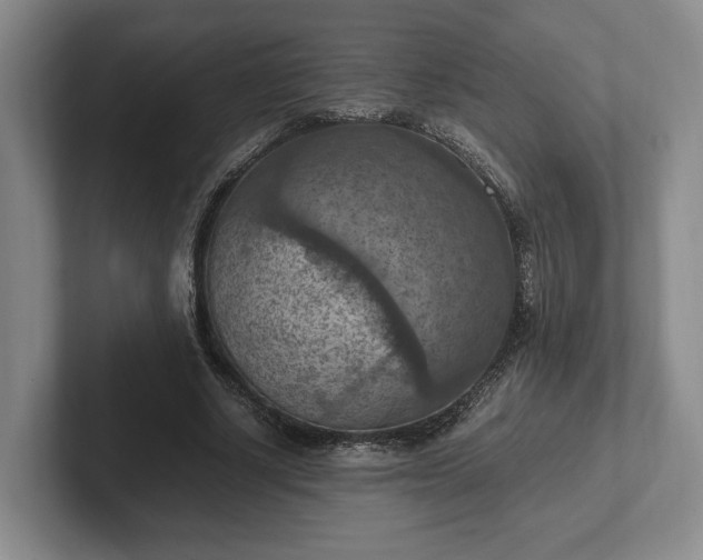 X0000102390634200808081228