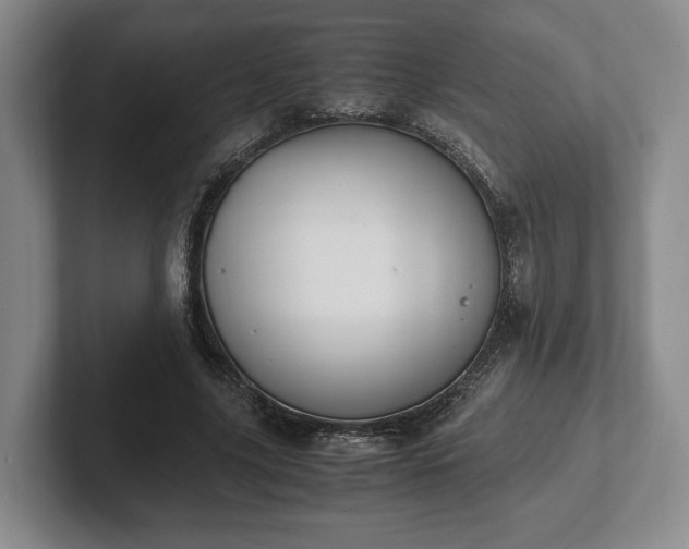 X0000102390635200808081228