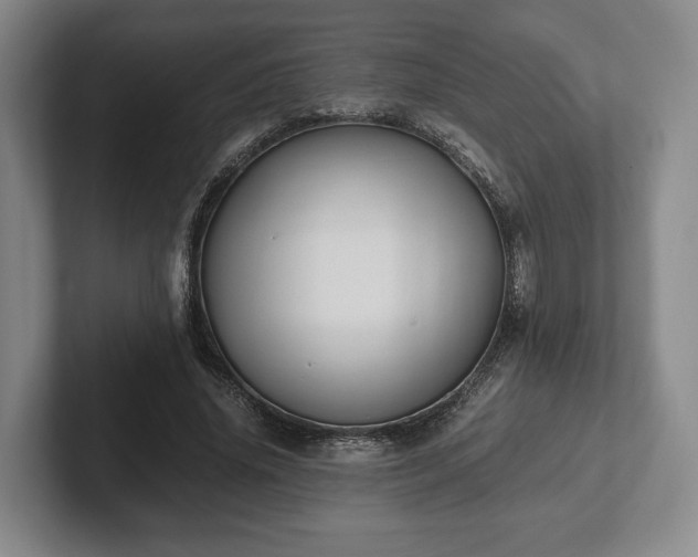 X0000102390636200808081228