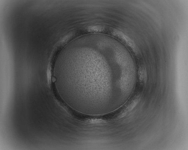 X0000102390637200808081228