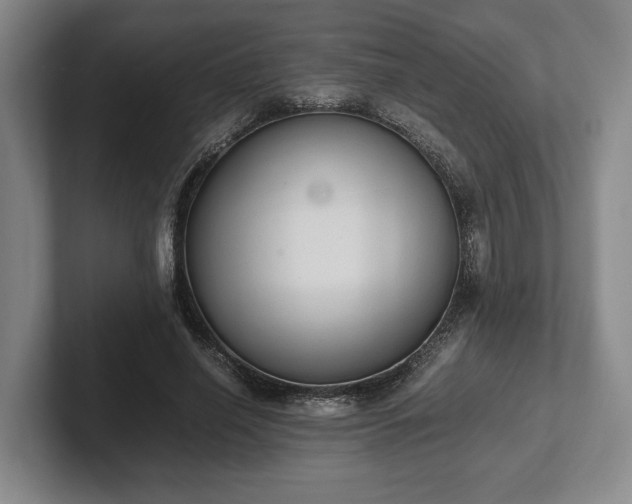 X0000102390638200808081228