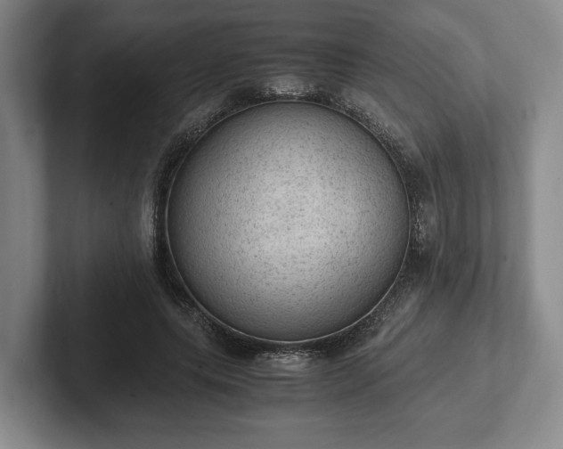 X0000102390639200808081228