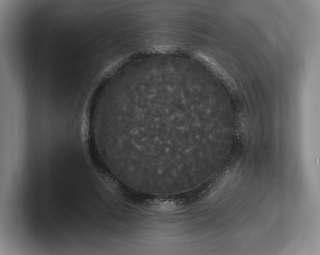 X0000102390640200808081228