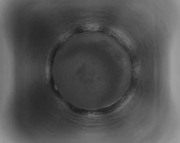 X0000102390641200808081228