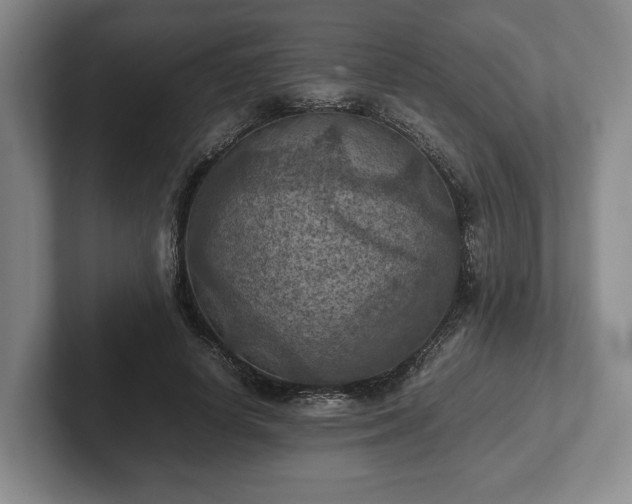 X0000102390642200808081228