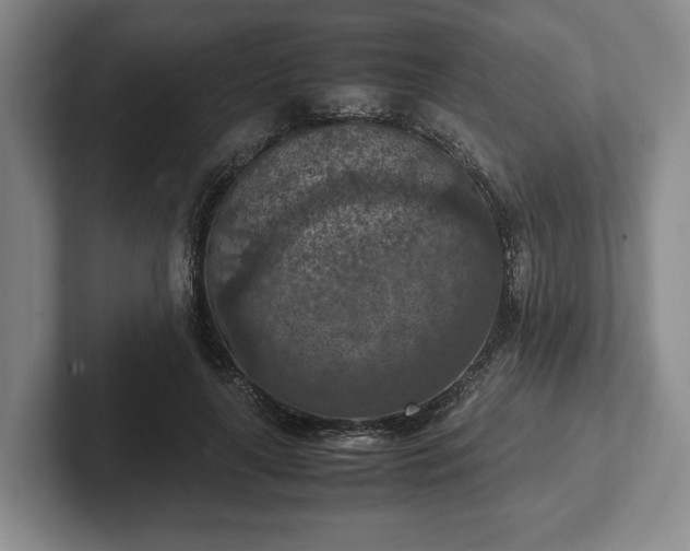 X0000102390643200808081228