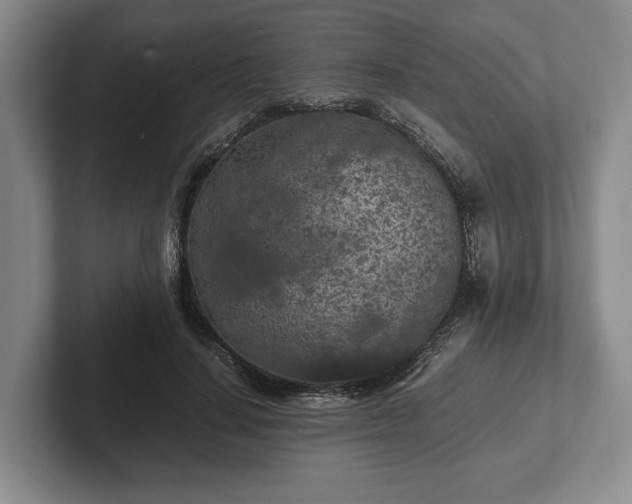 X0000102390644200808081228