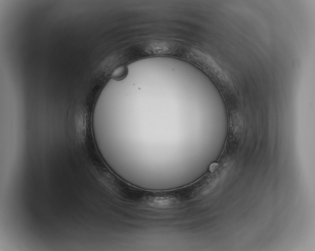 X0000102390645200808081228