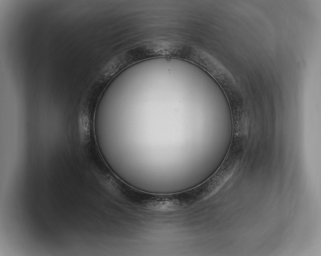 X0000102390646200808081228