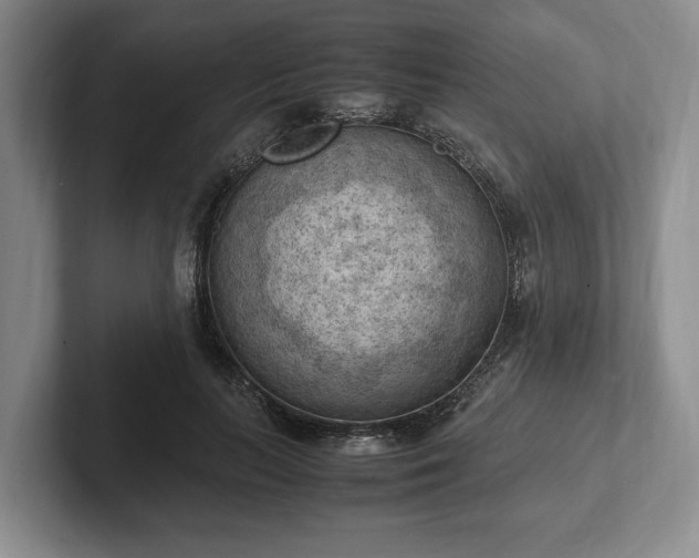 X0000102390647200808081228