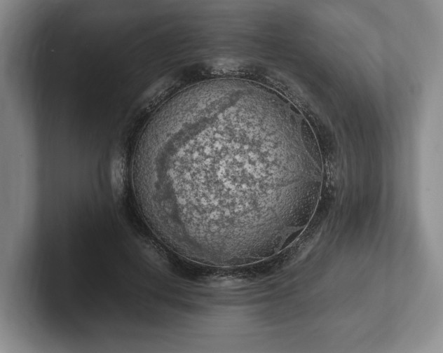 X0000102390648200808081228